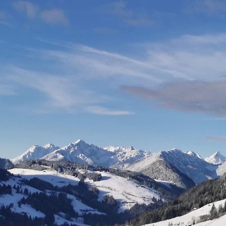 Апартаменты Alpbachblick Экстерьер фото