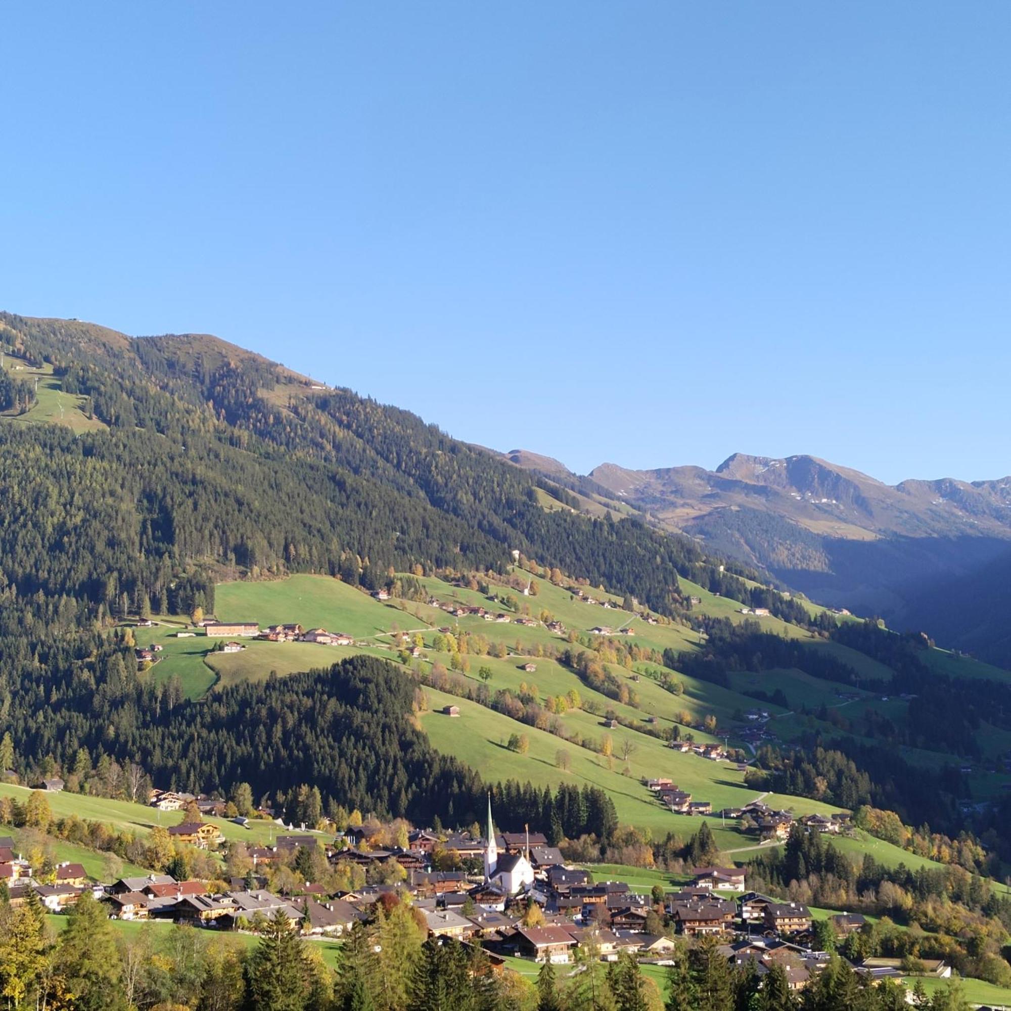 Апартаменты Alpbachblick Экстерьер фото