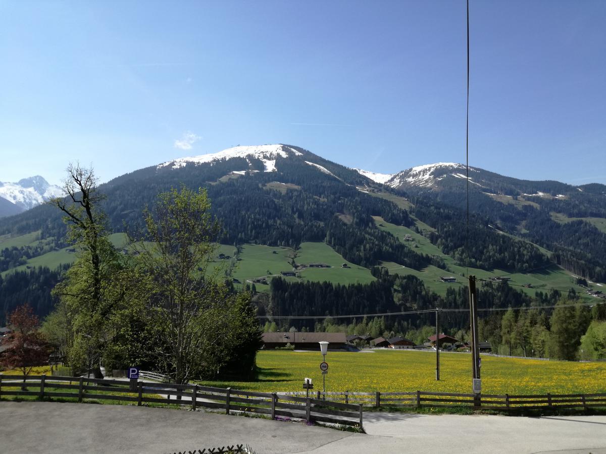 Апартаменты Alpbachblick Экстерьер фото